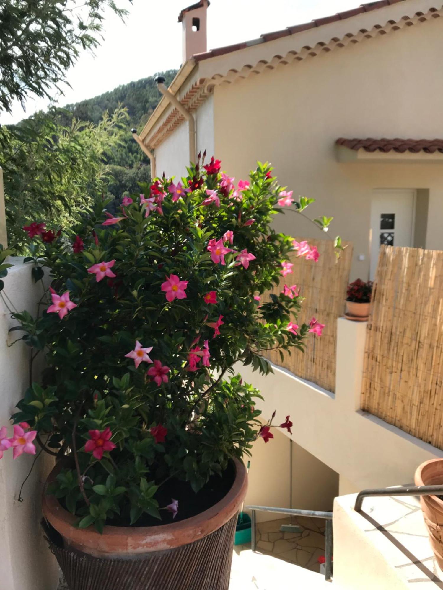L'anita * Theoule-sur-Mer